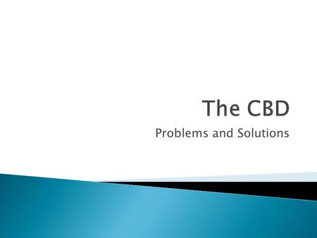 Problems and Solutions.  What does CBD stand for?  2 minutes – remind yourself what things you would find in the CBD  UK – City/Town Centre  France.