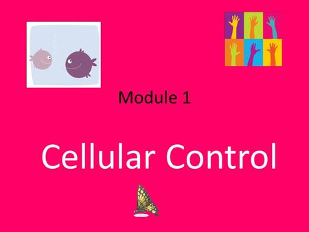 Module 1 Cellular Control. ...state that genes code for polypeptides, including enzymes... A gene is a length of DNA that codes for one or more polypeptides.