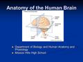 Anatomy of the Human Brain Department of Biology and Human Anatomy and Physiology Department of Biology and Human Anatomy and Physiology Mission Hills.