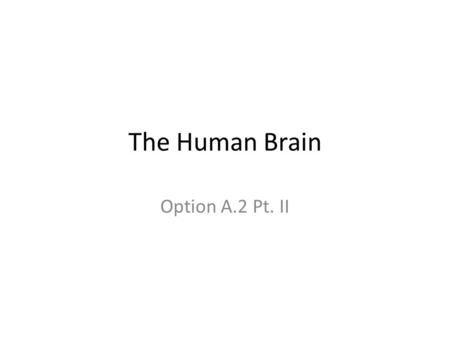 The Human Brain Option A.2 Pt. II. The cerebral cortex forms a larger part of the brain and is more highly developed in humans than other animals. Cerebral.