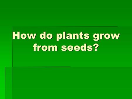 How do plants grow from seeds?. Seeds  Seeds come in many sizes, shapes, and colors.  They can all grow a new plant.