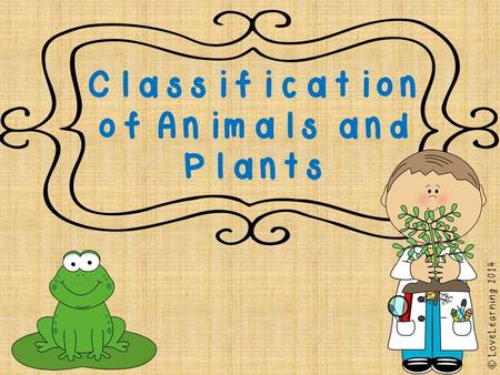 Scientists classify animals and nonliving things into groups according to their features or characteristics in order to understand how animals compare.