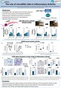 A, miR-146a levels in spleen, bone marrow and paw from K/BxN serum-transfer (day 1, 2, 3 and 10) and hTNFtg arthritis (week 6,8 and10) diseased mice, measured.