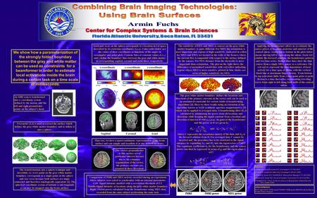 The gray-white matter boundary defines the locations and directions of the primary currents in the cortex and can be used as an anatomical constraint for.