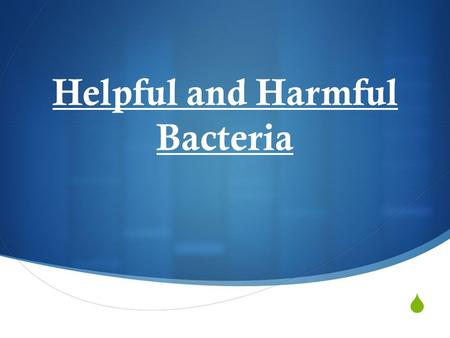  Helpful and Harmful Bacteria.  Contrary to popular belief that most microorganisms are harmful, the usefulness of bacteria far outweighs the damage.