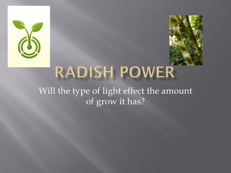 Will the type of light effect the amount of grow it has?