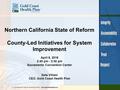 Northern California State of Reform County-Led Initiatives for System Improvement April 6, 2016 2:45 pm - 3:30 pm Sacramento Convention Center Dale Villani.