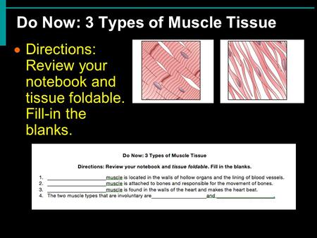 Do Now: 3 Types of Muscle Tissue  Directions: Review your notebook and tissue foldable. Fill-in the blanks.