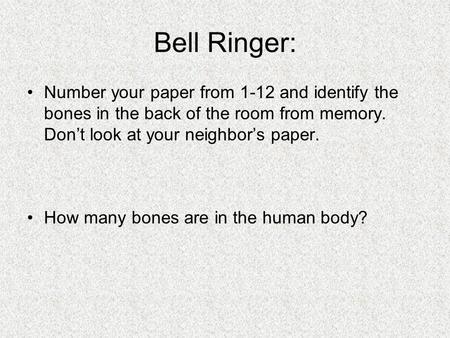 Bell Ringer: Number your paper from 1-12 and identify the bones in the back of the room from memory. Don’t look at your neighbor’s paper. How many bones.