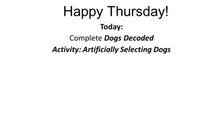 Happy Thursday! Today: Complete Dogs Decoded Activity: Artificially Selecting Dogs.