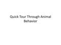 Quick Tour Through Animal Behavior. The transition Realize that animal behaviors are responses made by organisms…responses to stimuli detected by nerves.