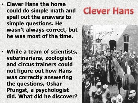 Clever Hans the horse could do simple math and spell out the answers to simple questions. He wasn’t always correct, but he was most of the time. While.