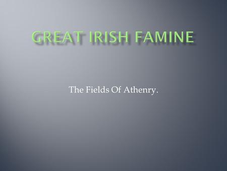 The Fields Of Athenry..  The Great Irish Famine began in 1845 when a disease called “blight” caused the potato crop to fail.  Most Irish people were.