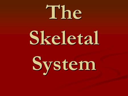 The Skeletal System. Skeletal System Introduction Introduction Functions of the skeleton Functions of the skeleton Framework of bones Framework.