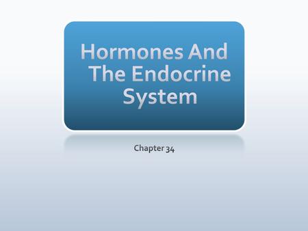 Hypothalamus Pituitary Thyroid gland Parathyroid gland Adrenal medulla Adrenal cortex Ovary in female Testis in male Pancreas.