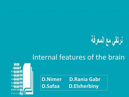 Internal features of the brain D.Nimer D.Rania Gabr D.Safaa D.Elsherbiny.