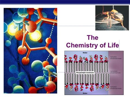 AP Biology 2007-2008 The Chemistry of Life AP Biology 2007-2008 Chemistry of Life Properties of Water.