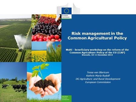 Risk management in the Common Agricultural Policy Multi - beneficiary workshop on the reform of the Common Agriculture Policy of the EU (CAP) Brussels,