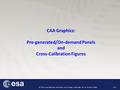 9 th CAA Cross-Calibration Workshop, Jesus College, Cambridge, UK, 25-27 March 2009 1/17 CAA Graphics: Pre-generated/On-demand Panels and Cross-Calibration.