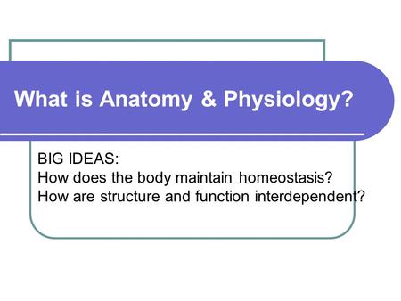 What is Anatomy & Physiology? BIG IDEAS: How does the body maintain homeostasis? How are structure and function interdependent?