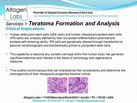 Human embryonic stem cells (hES cells) and human induced-pluripotent stem cells (iPS cells) are uniquely defined by their pluripotent differentiation potential.