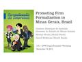 Promoting Firm Formalization in Minas Gerais, Brazil Gustavo Henrique de Andrade (Governo do Estado de Minas Gerais) Miriam Bruhn (World Bank) David McKenzie.