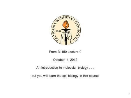 1 From Bi 150 Lecture 0 October 4, 2012 An introduction to molecular biology... but you will learn the cell biology in this course.