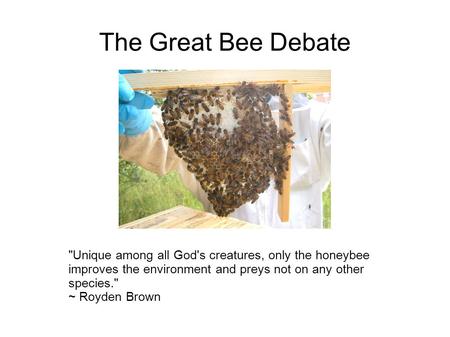 The Great Bee Debate Unique among all God's creatures, only the honeybee improves the environment and preys not on any other species. ~ Royden Brown.