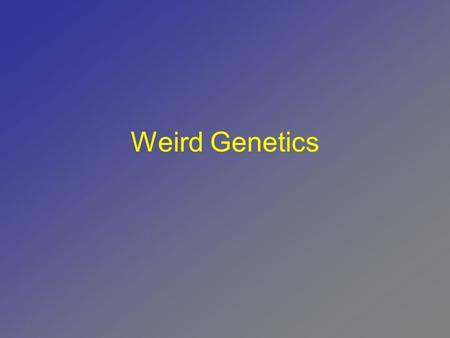 Weird Genetics. Mutations  A change in genetic information Can occur randomly (naturally) Or can be deliberately caused.