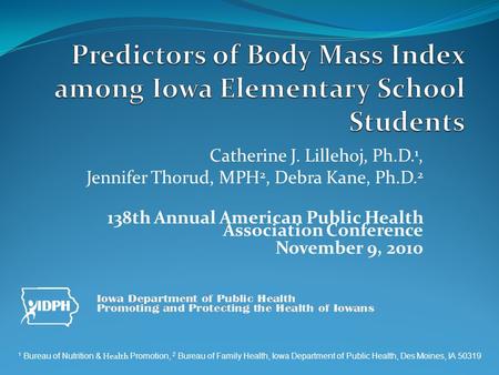 Catherine J. Lillehoj, Ph.D. 1, Jennifer Thorud, MPH 2, Debra Kane, Ph.D. 2 138th Annual American Public Health Association Conference November 9, 2010.