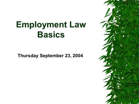 Employment Law Basics Thursday September 23, 2004.