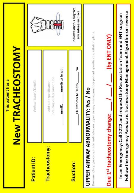 Indicate on this diagram any sutures in place This patient has a New TRACHEOSTOMY UPPER AIRWAY ABNORMALITY: Yes / No Document laryngoscopy grade and notes.
