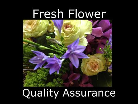 Fresh Flower Quality Assurance. Our goal is to provide our customers with the best quality product available.