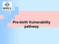 Pre-birth Vulnerability pathway. 2 Background Lack of robust multi agency procedures Recommendations from local Serious Case Reviews and lessons learned.