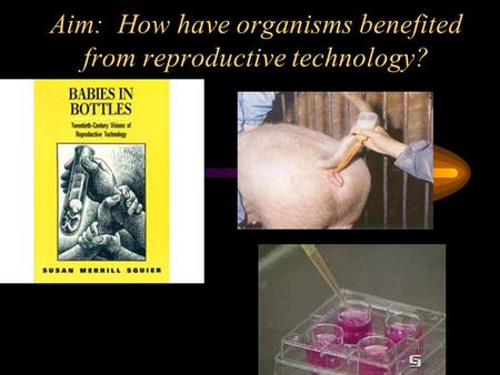 Aim: How have organisms benefited from reproductive technology?