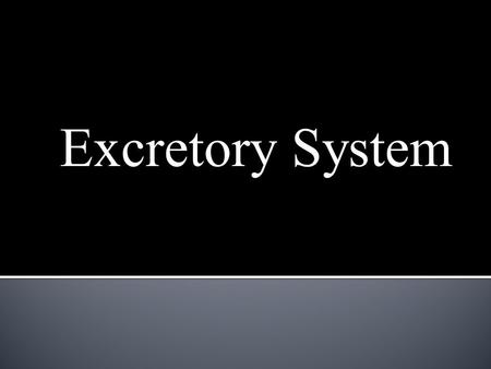 Excretory System.  The digestive system gets rid of undigested material through the large intestine.  The respiratory system and the circulatory system.