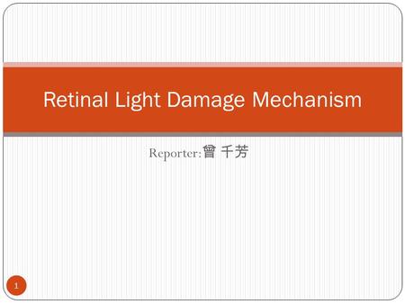 Reporter: 曾 千芳 Retinal Light Damage Mechanism 1. 大綱 Introduction of light hazard to eyes Retinal light damage  Background  Mechanisms of light damage.