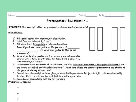 Photosynthesis Notes Essential Questions: 1.How do our cells determine who we are? 2.How do living things obtain and use energy?