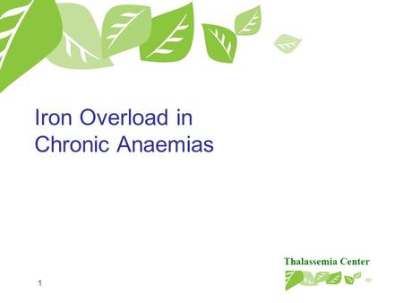 Thalassemia Center 1 Iron Overload in Chronic Anaemias.