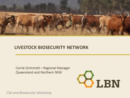 LIVESTOCK BIOSECURITY NETWORK CSG and Biosecurity Workshop Corrie Grimmett – Regional Manager Queensland and Northern NSW.