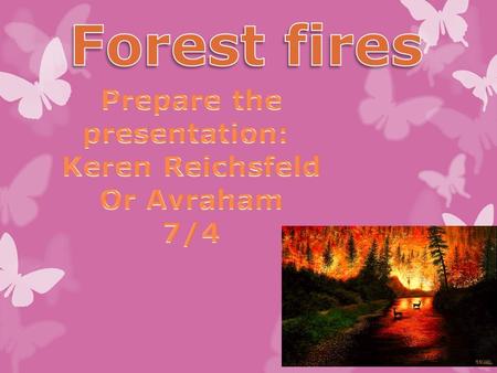 A forest fire is a natural disaster consisting of a fire which destroys a forested area, and can be a great danger to people who live in forests as well.