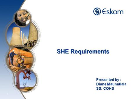 1 SHE Requirements Presented by : Diane Maunatlala SS: COHS.