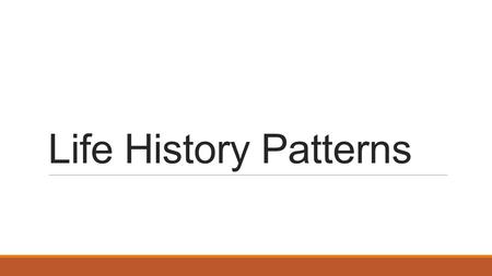 Life History Patterns. Development  At different stages of development, species require different resources  Also, they can be more at risk during different.