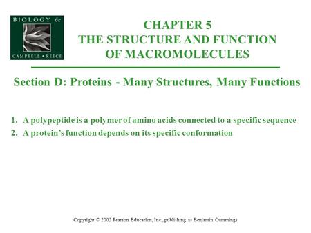 CHAPTER 5 THE STRUCTURE AND FUNCTION OF MACROMOLECULES Copyright © 2002 Pearson Education, Inc., publishing as Benjamin Cummings Section D: Proteins -