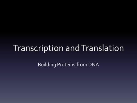 Transcription and Translation Building Proteins from DNA.