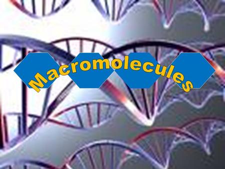 The Carbon Atom  Can bond with 4 other elements.  Has ability to form millions of different large and complex structures.  Living organisms all contain.