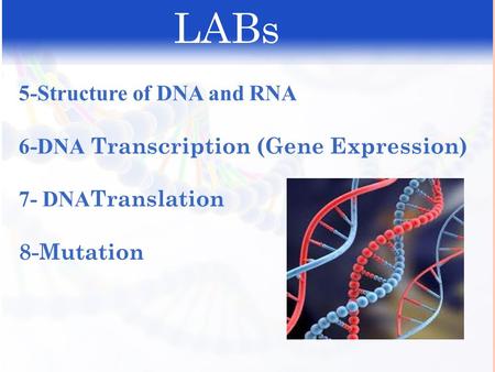 5-Structure of DNA and RNA 6-DNA Transcription (Gene Expression) 7- DNA Translation 8-Mutation LABs.