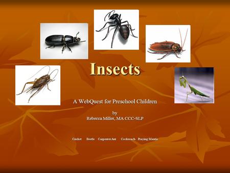 Insects A WebQuest for Preschool Children by Rebecca Miller, MA CCC-SLP Cricket Beetle Carpenter Ant Cockroach Praying Mantis.