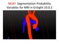 NEW! Segmentation Probability Variables for MRI in EnSight 10.0.2.