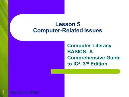 1 Lesson 5 Computer-Related Issues Computer Literacy BASICS: A Comprehensive Guide to IC 3, 3 rd Edition Morrison / Wells.